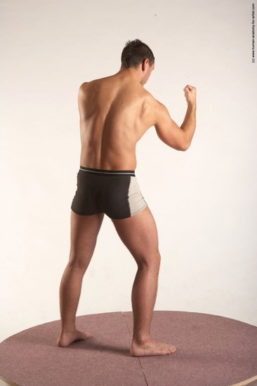 Underwear Martial art Man White Standing poses - ALL Average Short Brown Standing poses - simple Academic