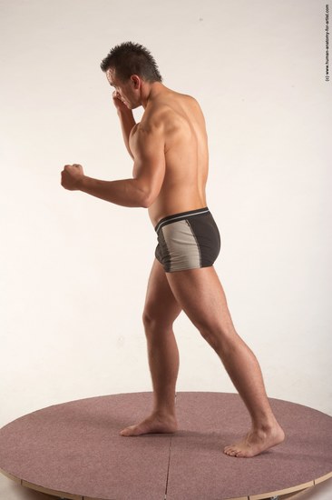 Underwear Martial art Man White Standing poses - ALL Average Short Brown Standing poses - simple Academic