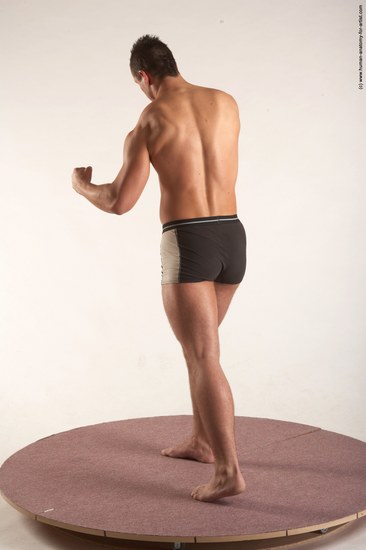 Underwear Martial art Man White Standing poses - ALL Average Short Brown Standing poses - simple Academic