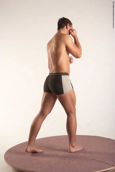 Underwear Martial art Man White Standing poses - ALL Average Short Brown Standing poses - simple Academic