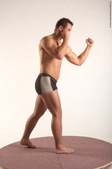 Underwear Martial art Man White Standing poses - ALL Average Short Brown Standing poses - simple Academic