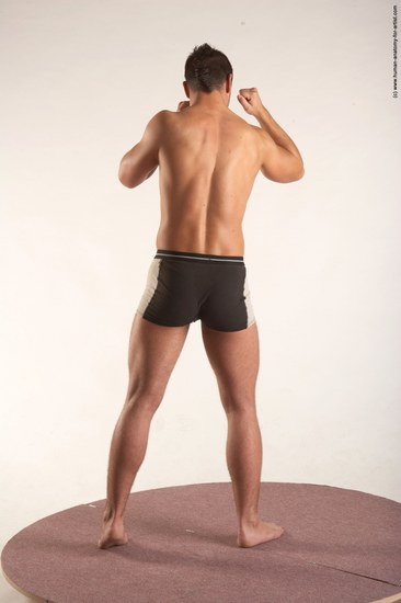 Underwear Martial art Man White Standing poses - ALL Average Short Brown Standing poses - simple Academic