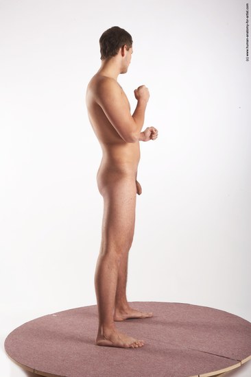 Nude Martial art Man White Standing poses - ALL Average Short Brown Standing poses - simple Realistic