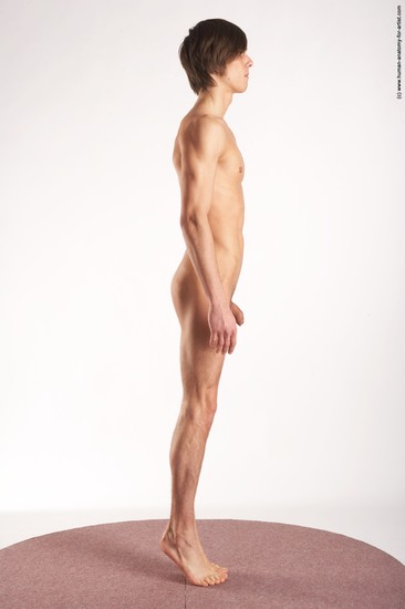 Nude Man White Standing poses - ALL Slim Short Brown Standing poses - simple Realistic