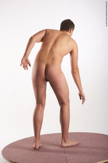 Nude Man White Standing poses - ALL Average Short Brown Standing poses - simple Realistic