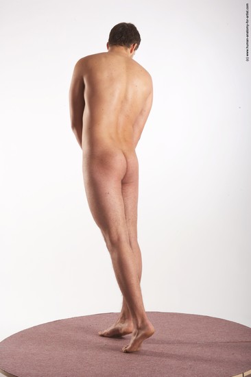 Nude Man White Standing poses - ALL Average Short Brown Standing poses - simple Realistic