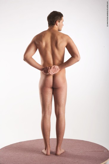 Nude Man White Standing poses - ALL Average Short Brown Standing poses - simple Realistic