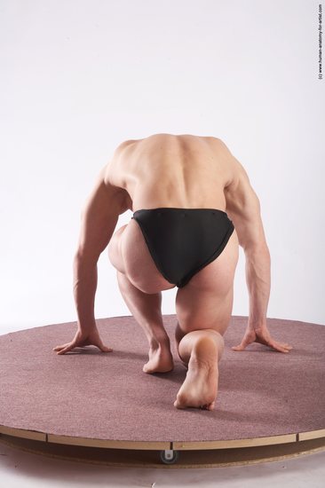 Swimsuit Man White Kneeling poses - ALL Muscular Short Brown Kneeling poses - on one knee Academic