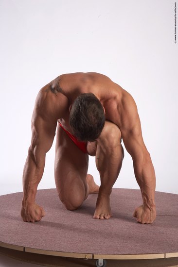 Swimsuit Man White Kneeling poses - ALL Muscular Short Brown Kneeling poses - on one knee Academic