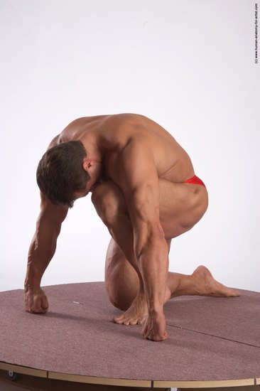 Swimsuit Man White Kneeling poses - ALL Muscular Short Brown Kneeling poses - on one knee Academic