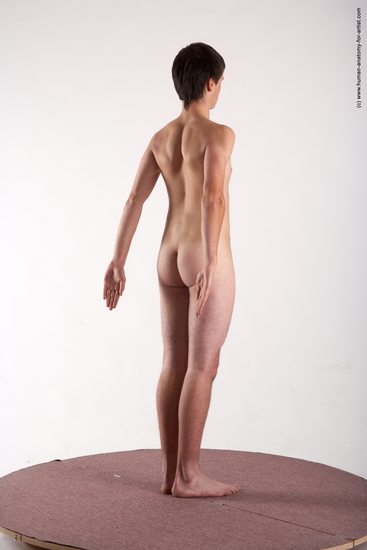 Nude Man White Standing poses - ALL Slim Short Brown Standing poses - simple Realistic