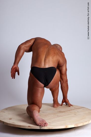 Swimsuit Man White Kneeling poses - ALL Muscular Bald Kneeling poses - on one knee Academic