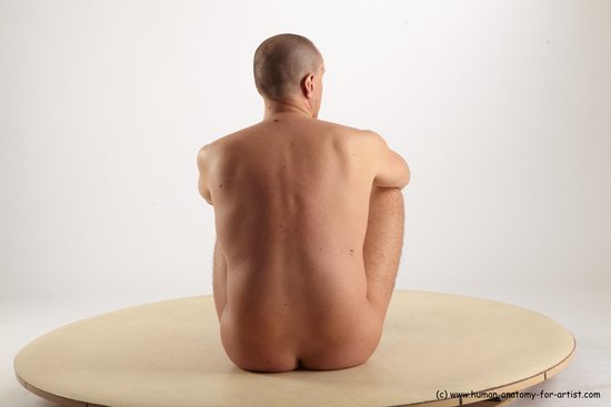 Nude Man White Sitting poses - simple Average Short Brown Sitting poses - ALL Realistic