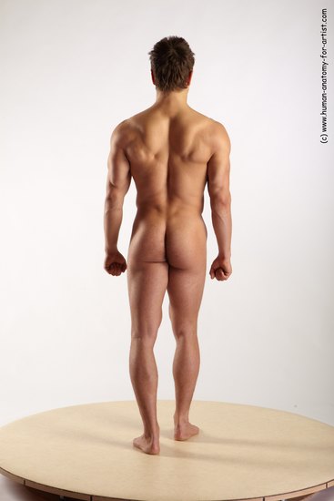 Nude Man White Standing poses - ALL Muscular Short Brown Standing poses - simple Realistic