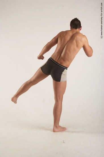 Underwear Martial art Man White Standing poses - ALL Average Short Brown Standing poses - simple Academic