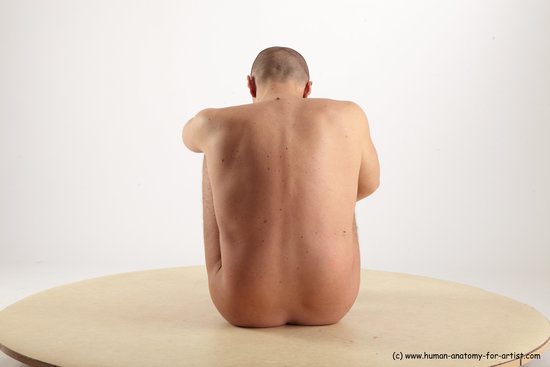 Nude Man White Sitting poses - simple Average Short Brown Sitting poses - ALL Realistic