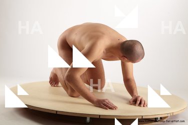 Man White Average Short Brown Academic