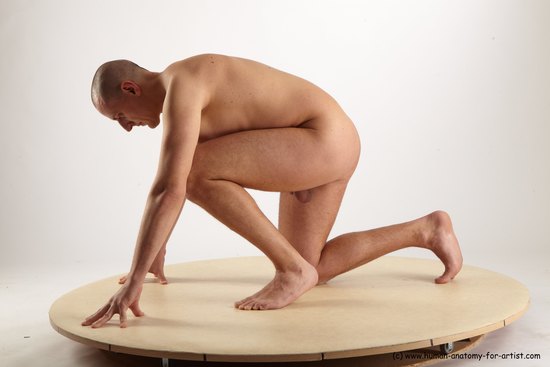 Nude Man White Kneeling poses - ALL Average Short Brown Kneeling poses - on one knee Realistic