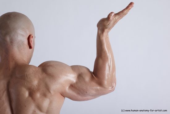 Swimsuit Man White Detailed photos Muscular Bald Academic