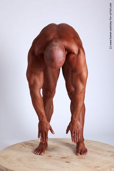 Swimsuit Man White Standing poses - ALL Muscular Bald Standing poses - bend over Academic
