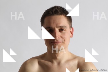 Nude Man White Detailed photos Slim Short Brown Dynamic poses Realistic