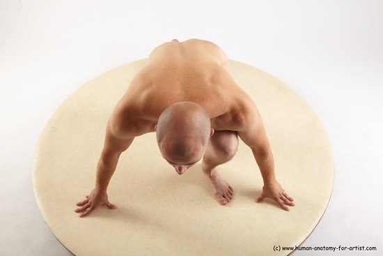 Nude Man White Kneeling poses - ALL Slim Bald Kneeling poses - on one knee Realistic