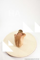 Nude Man White Sitting poses - simple Slim Short Brown Sitting poses - ALL Multi angles poses Realistic