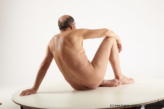 Nude Man White Sitting poses - simple Slim Bald Grey Sitting poses - ALL Realistic