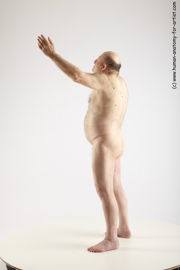 and more Nude Man White Standing poses - ALL Chubby Bald Grey Standing poses - simple Realistic