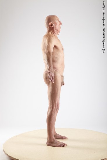 and more Nude Man White Standing poses - ALL Slim Bald Grey Standing poses - simple Realistic