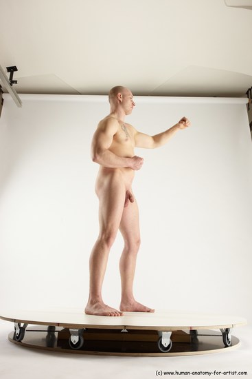 Man White Standing poses - ALL Slim Bald Standing poses - simple Multi angles poses Academic