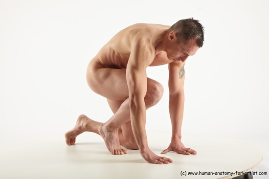 Nude Man White Kneeling poses - ALL Slim Short Brown Kneeling poses - on one knee Realistic