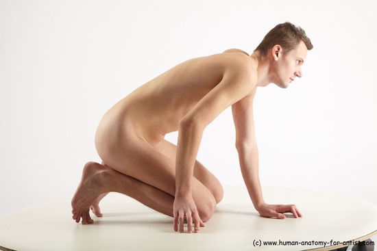 Nude Man White Slim Short Brown Sitting poses - ALL Sitting poses - on knees Realistic