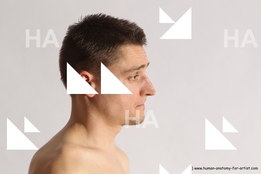 reference of requested stanley 38