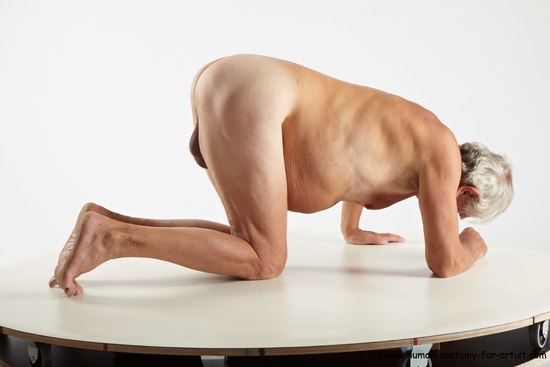 Nude Man White Kneeling poses - ALL Average Short Grey Kneeling poses - on both knees Realistic