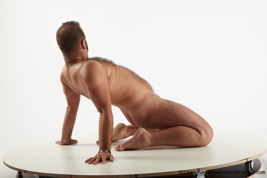 Nude Man White Kneeling poses - ALL Average Short Brown Kneeling poses - on both knees Realistic