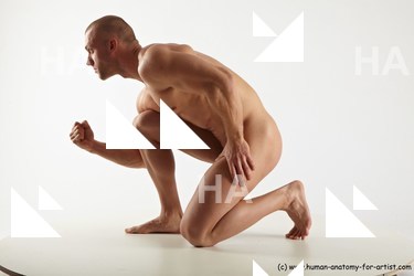 reference of kneeling bystrik 27