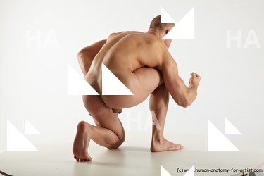 reference of kneeling bystrik 30