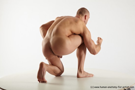 Nude Man White Kneeling poses - ALL Muscular Short Brown Kneeling poses - on one knee Realistic