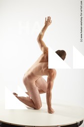 reference of various tichomir 14