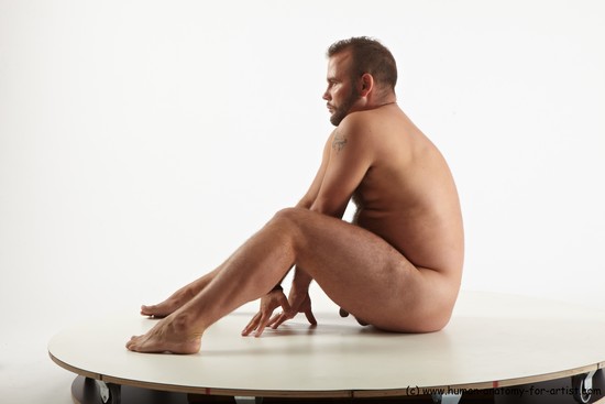 Nude Man White Sitting poses - simple Average Short Brown Sitting poses - ALL Realistic