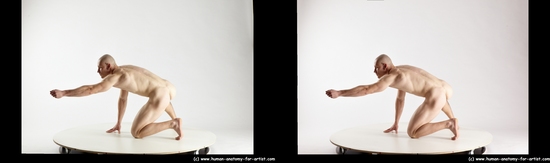 Nude Man White Kneeling poses - ALL Muscular Bald Kneeling poses - on one knee 3D Stereoscopic poses Realistic