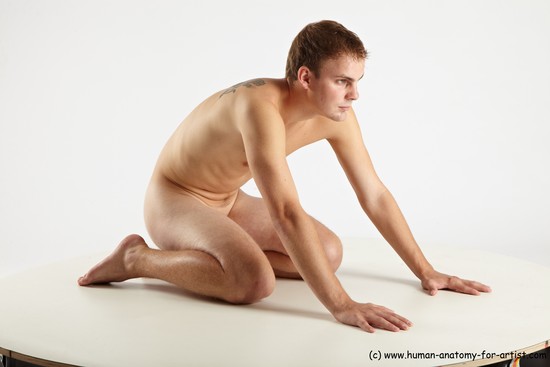 Nude Man White Slim Short Brown Sitting poses - ALL Sitting poses - on knees Realistic