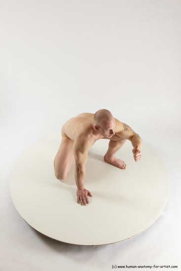 Nude Man White Kneeling poses - ALL Slim Bald Kneeling poses - on one knee Multi angles poses Realistic