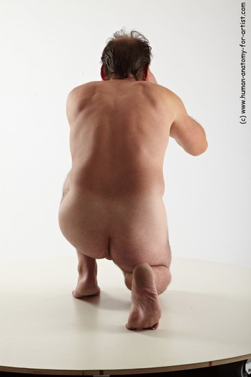 Nude Man White Average Short Brown Sitting poses - ALL Sitting poses - on knees Realistic