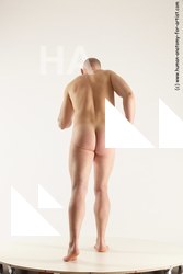 various reference of florian 05b