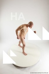 various reference of florian 11a