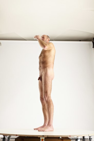 Nude Daily activities Man White Standing poses - ALL Slim Short Brown Standing poses - simple Multi angles poses Realistic