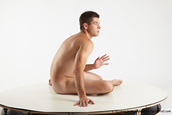 Nude Man White Sitting poses - simple Average Short Brown Sitting poses - ALL Realistic