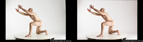 Nude Man White Kneeling poses - ALL Muscular Bald Kneeling poses - on one knee 3D Stereoscopic poses Realistic